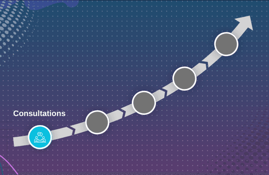 Initial Consultation & Requirement Mapping