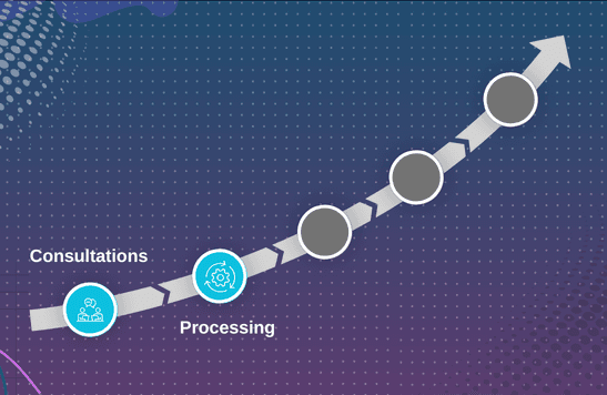 Data Processing & Annotation Execution
