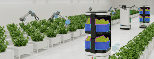 Food and Agriculture